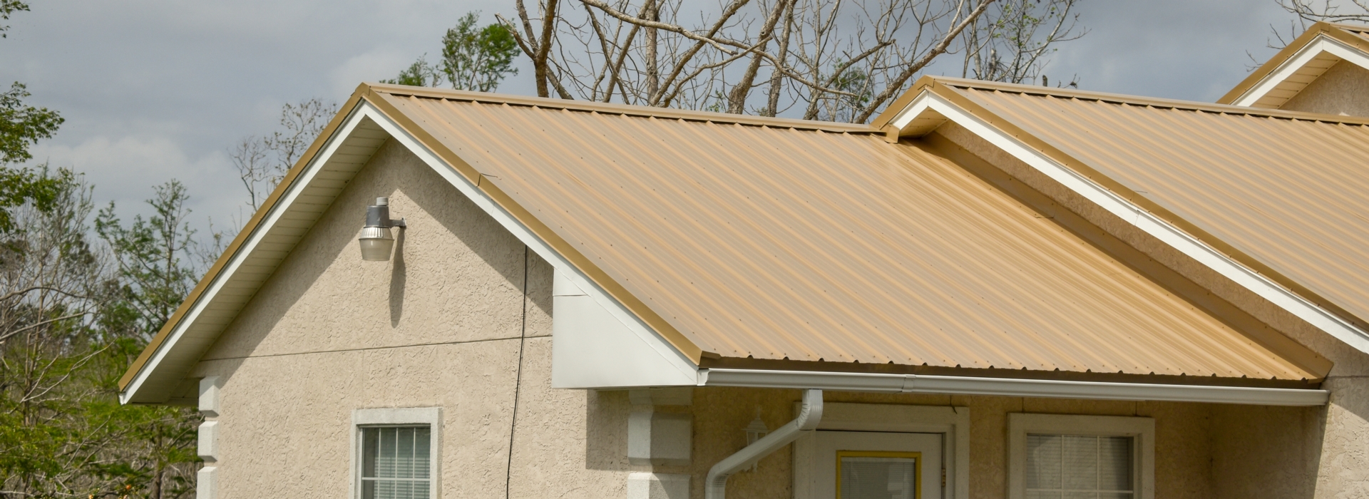 DSMsaddletan.jpg DSMsaddletan.jpg